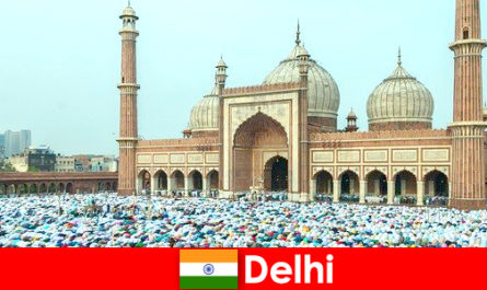 Delhi merupakan sebuah Metropolis di India Utara yang dicirikan oleh bangunan Muslim yang terkenal di dunia