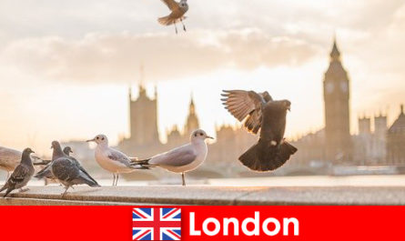 Tempat menarik di London untuk pengunjung internasional