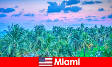 Miami alam yang menakjubkan dengan padang gurun tropis yang besar