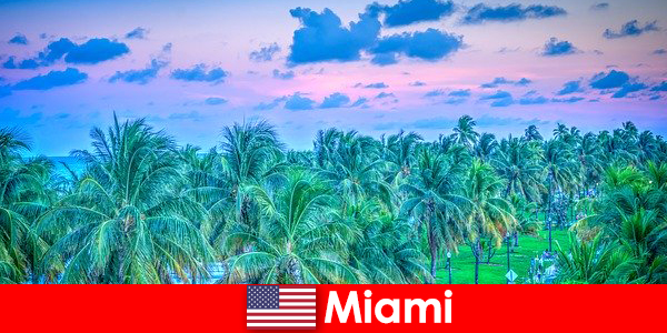 Miami alam yang menakjubkan dengan padang gurun tropis yang besar
