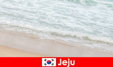 Jeju dengan pasirnya yang halus dan air jernih tempat yang ideal untuk liburan keluarga di pantai