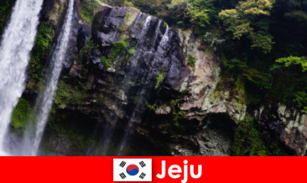 Jeju di Korea Selatan pulau vulkanik subtropis dengan hutan yang menakjubkan bagi orang asing