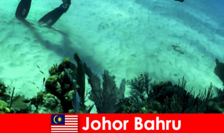 Kegiatan petualangan di Johor Bahru Diving, mendaki, hiking dan banyak lagi