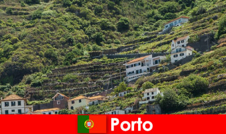Tujuan liburan Porto untuk pecinta anggur dari seluruh dunia