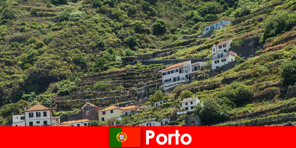 Tujuan liburan Porto untuk pecinta anggur dari seluruh dunia