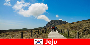 Wisatawan mendaki melalui lanskap alam yang fantastis di Jeju Korea Selatan