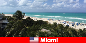 Ombak pantai berpasir palem menunggu wisatawan jangka panjang di paradisiacal Miami Amerika Serikat