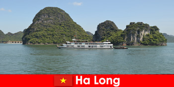 Kapal pesiar multi-hari untuk grup tur sangat populer di Ha Long Vietnam