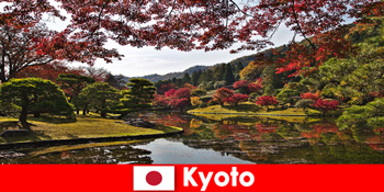 Perjalanan ke luar negeri ke Kyoto Jepang untuk mewarnai dedaunan musim gugur yang terkenal
