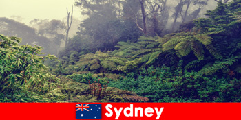 Menjelajahi Sydney Australia ke dunia taman nasional yang mengesankan