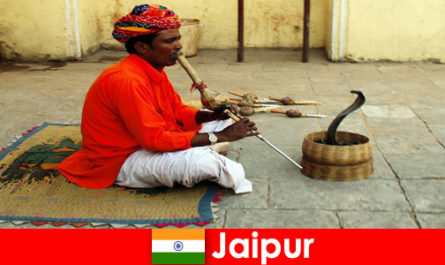 Di Jaipur India, wisatawan mengalami tarian ular dan hiburan di jalan-jalan yang ramai.