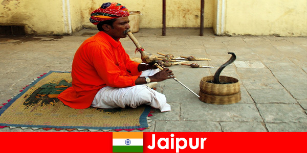 Di Jaipur India, wisatawan mengalami tarian ular dan hiburan di jalan-jalan yang ramai.