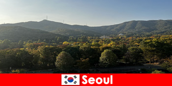 Paket Liburan Grup Populer ke Seoul Korea Selatan