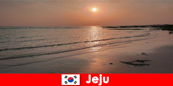 Tujuan impian untuk pernikahan dan tamu dari luar negeri di Jeju Korea Selatan