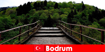 Suhu ringan adalah waktu terbaik untuk hiking bagi wisatawan di Bodrum Turki