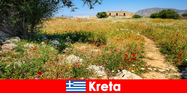 Makanan Mediterania sehat dengan pengalaman alam menanti wisatawan di Kreta Yunani