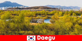 Tips Wisatawan Independen Terbaik di Daegu, Korea Selatan