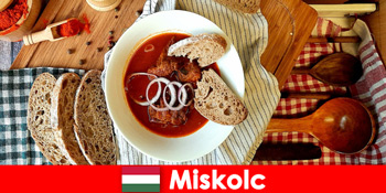 Para tamu menikmati pemandangan dan budaya di Miskolc Hungary