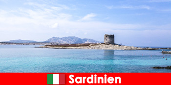 Perjalanan kuliner ke Sardinia untuk menemukan masakan Italia