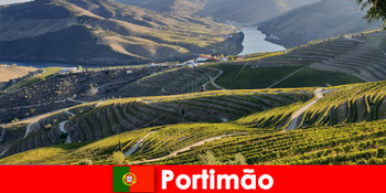 Anda menyukai mencicipi anggur dan hidangan lezat di pegunungan Portimão Portugal