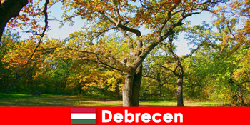 Liburan spa untuk pensiunan di Debrecen Hongaria dengan banyak hati